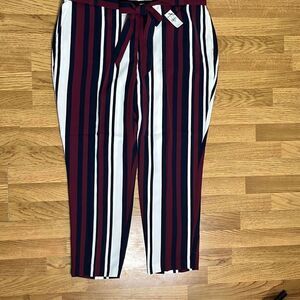 Express Stretchable Paper Bag Waist Trouser Ankle High Rise Curvy Stripes Women'